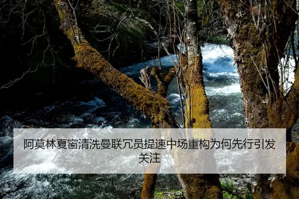 阿莫林夏窗清洗曼联冗员提速中场重构为何先行引发关注