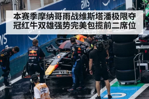 Red Bull F1 team