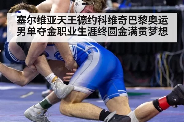 塞尔维亚天王德约科维奇巴黎奥运男单夺金职业生涯终圆金满贯梦想